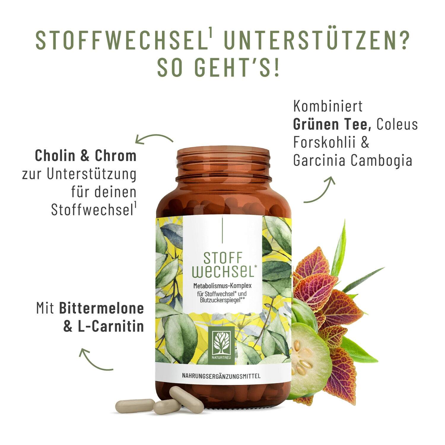 Naturtreu Green Tea, L‑Carnitine & Choline Complex - Stoffwechsel